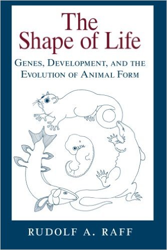 Cover of The Shape of Life