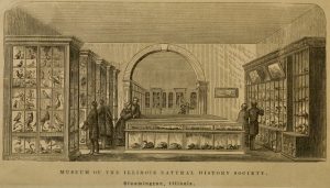 interior museum scene, depicting cases with specimens and eight people