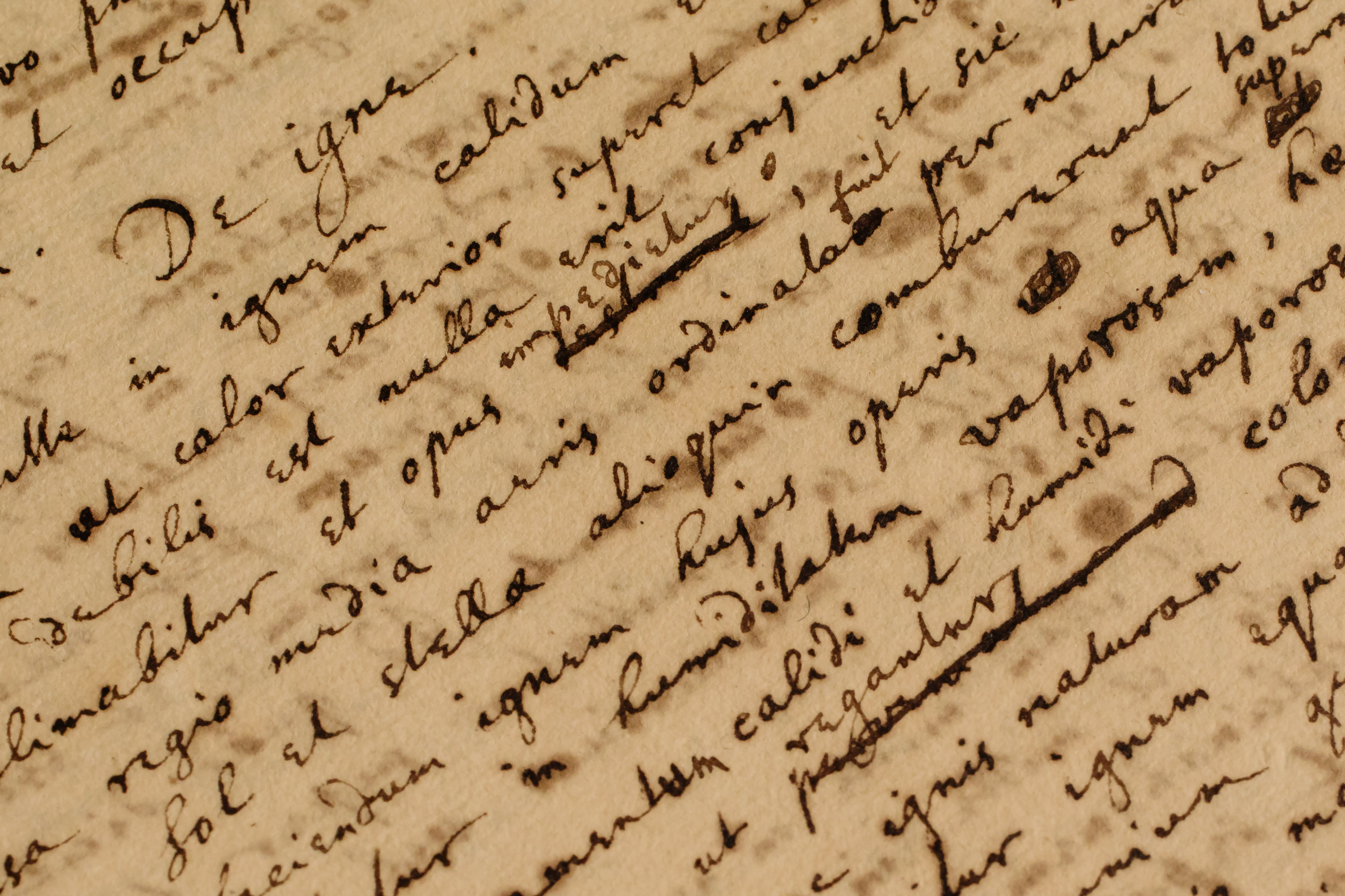 Newton Manuscript