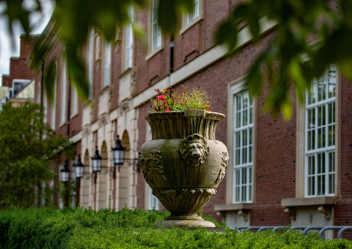 A potted plant in front of the Main Library, an imposing brick building with tall windows.