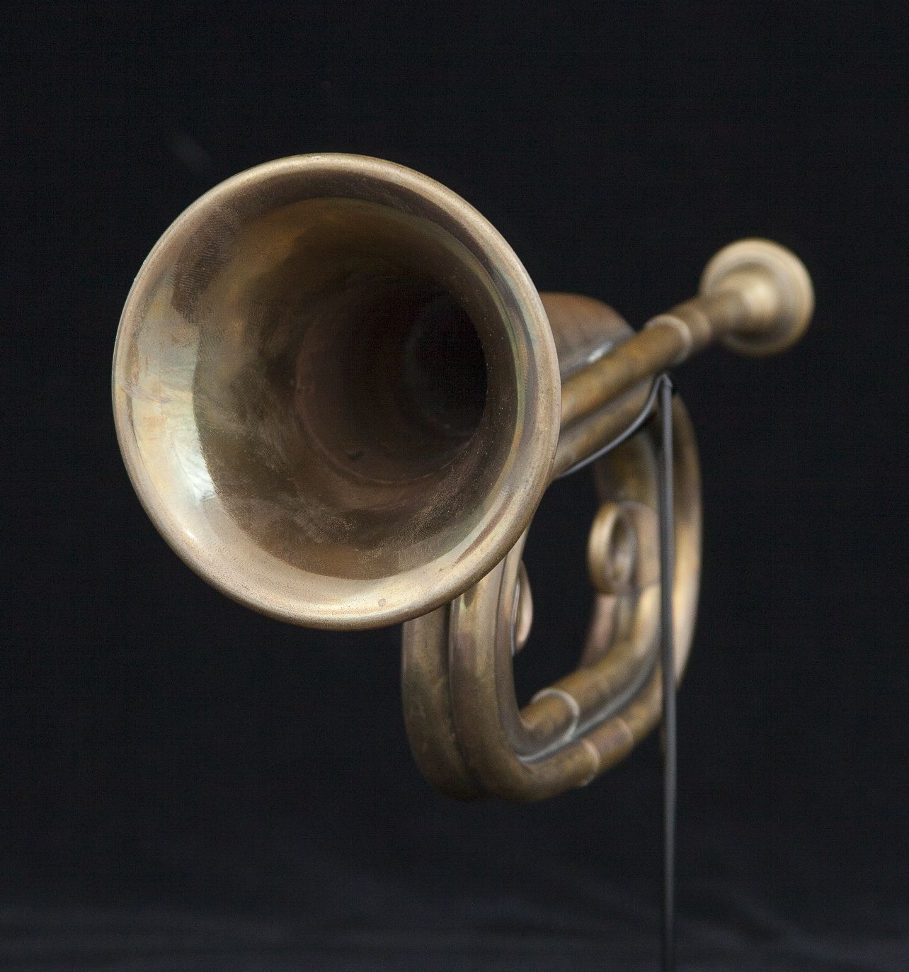 Frontal view of bugle against black background.