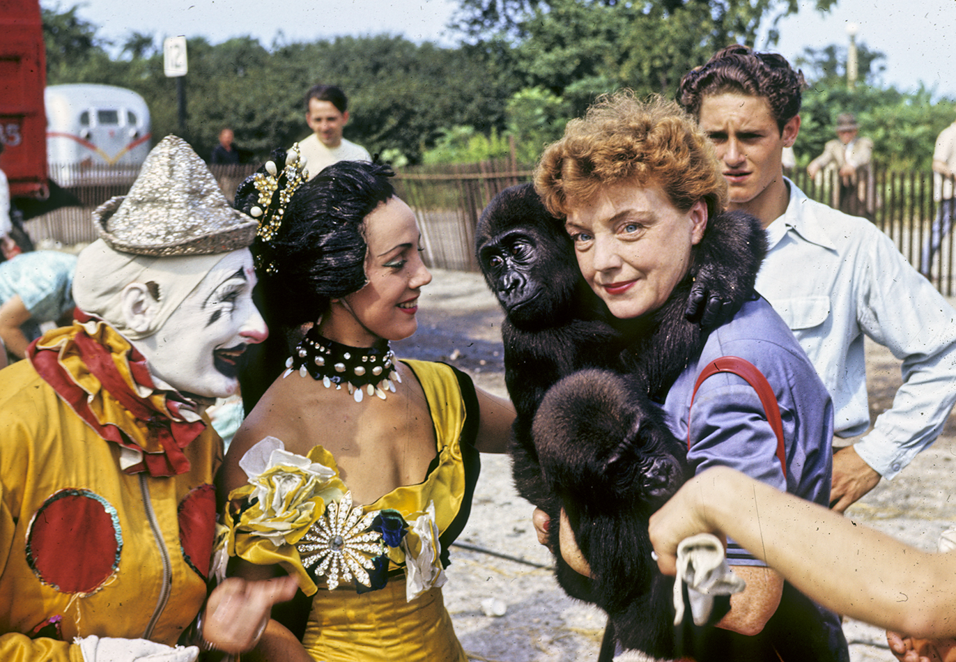 Four people in image, from left to right: a clown with white and black face paint in a yellow and red outfit, one aerialist in a yellow and black outfit, a woman in blue holding two baby gorillas, and a man in background looking at the gorillas.