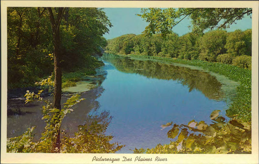 Postcard with clear river cutting through a lush forest