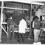 Black and white photo featuring four Illinois State Museum staff, their backs turned to the camera, facing the huge rib cage and vertebrae of a mastodon skeleton