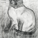 Child’s pencil drawing of a cat in grass