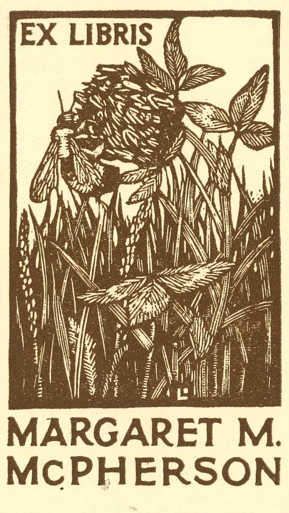 brown ink book plate on cream-aged paper of a bee on a thistle