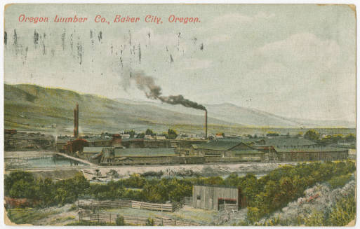 color front of postcard of Oregon lumber company's factory