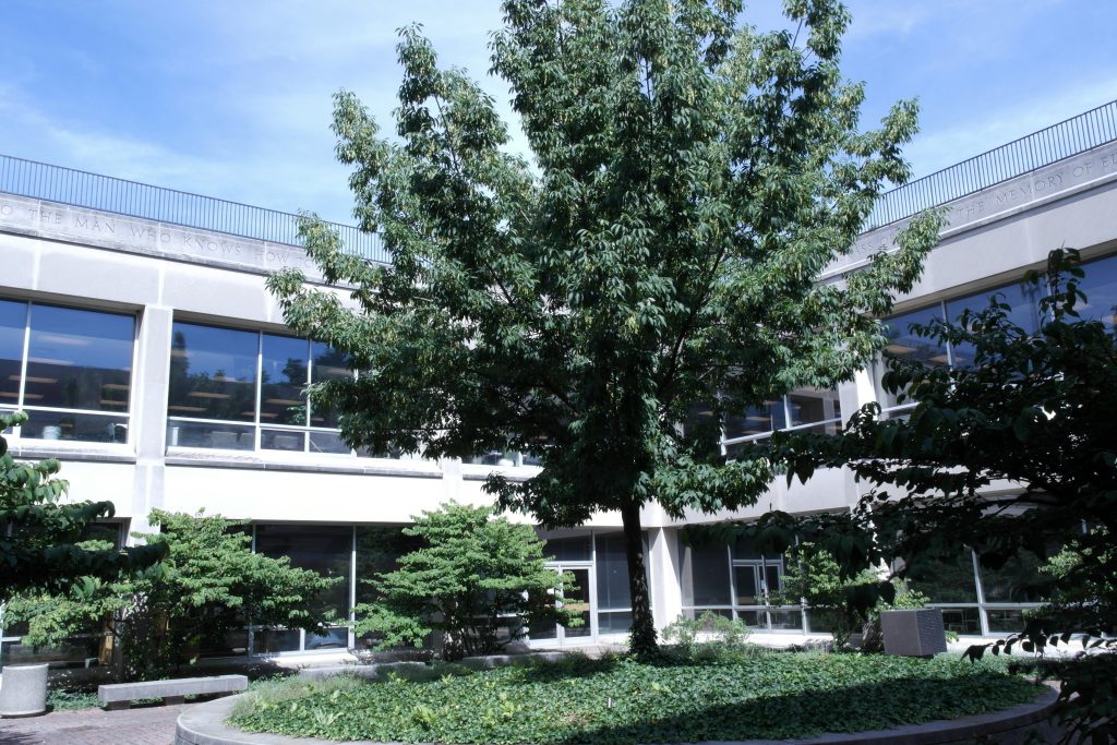 Undergraduate Library courtyard with small lawn and multiple trees.