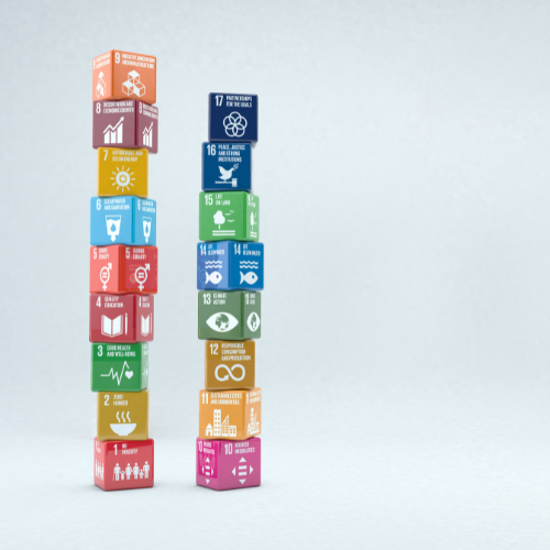 Libraries for Sustainable Development stacked blocks Image
