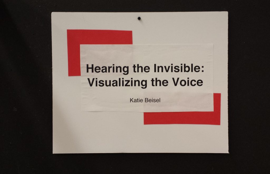 Photo of "Hearing the Invisible: Visualizing the Voice" by Katie Beisel - 1