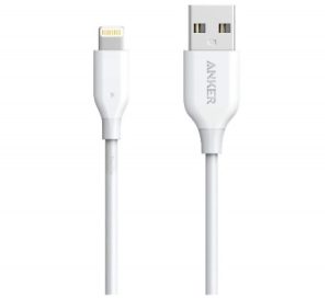 Image of Apple Lightning to USB charging cable