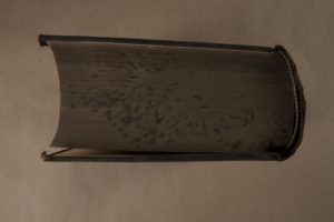 Top view of book with dark marking indicative of cockroach manifestation.