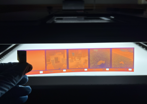 Film strip of color negatives, appearing orange and blue, held with a left blue gloved hand in front of a light table source