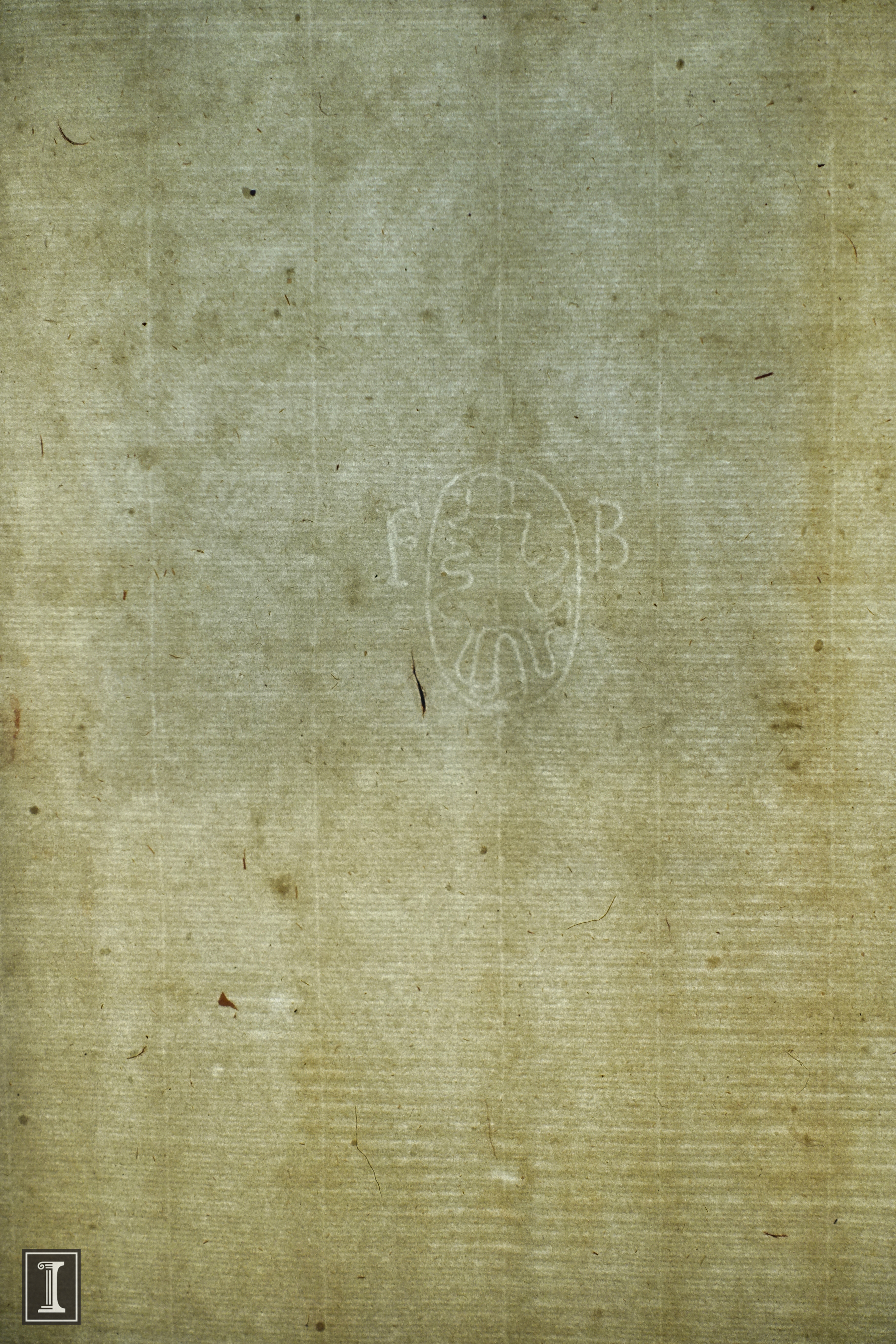 watermark_lightsheet