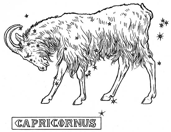 Capricornus Image