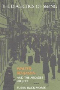 Cover of The Dialectics of Seeing: Walter Benjamin's Arcades Project