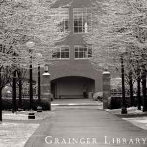 Grainger and Snowy Trees