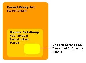 graphic illustrating how records are organized