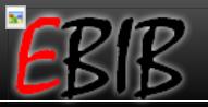 EBIB