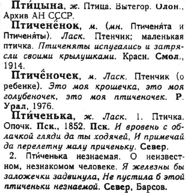 a sample entry for Slovar' russkikh narodnykh govorov